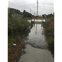 2018 Virginia Beach CTK Kingtide Mapping image